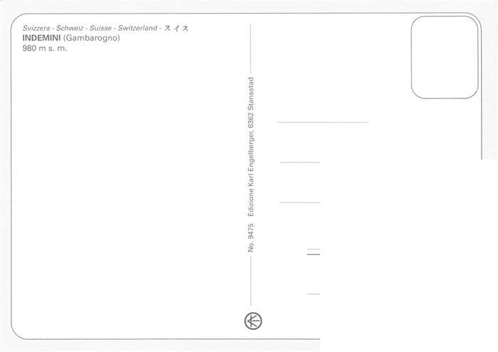 13991916 Motifs locaux Indemini_TI