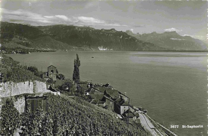 13992440 St_Saphorin_Lavaux_VD Panorama