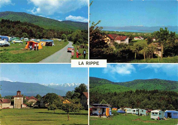 13993376 La_Rippe_Nyon_VD Panorama Campingplatz