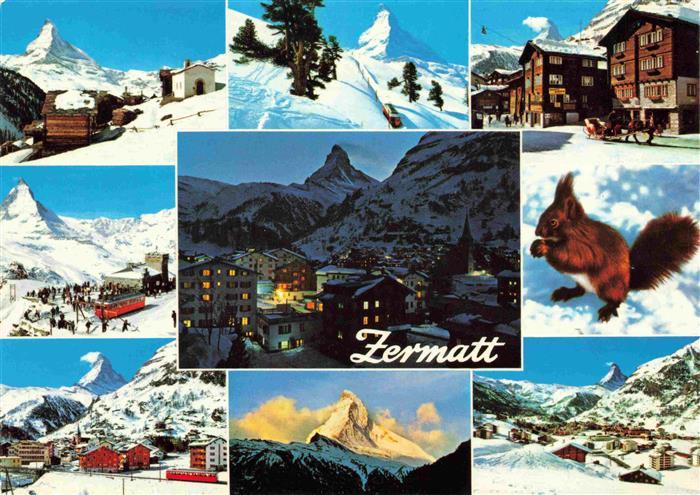 13993391 Zermatt_VS Matterhorn Motive Ortspartie Eichhoernchen