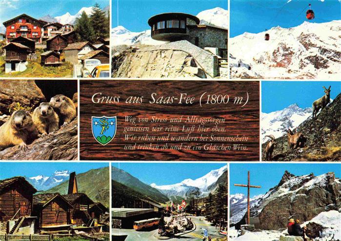 13993394 Saas-Fee_VS Ortsansichten Drehrestaurant Seilbahn Murmeltiere Gemsen Gi