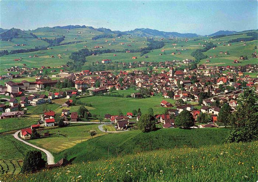 13993460 Appenzell_IR Fliegeraufnahme