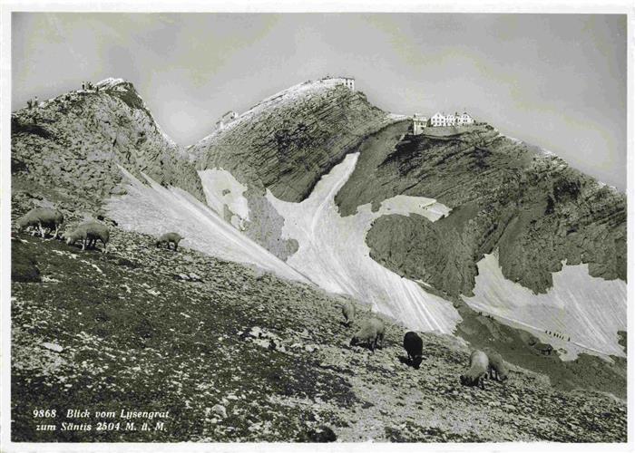 13993463 Saentis_2504m_AR Vue du Lusengrat jusqu'au sommet du Saentis