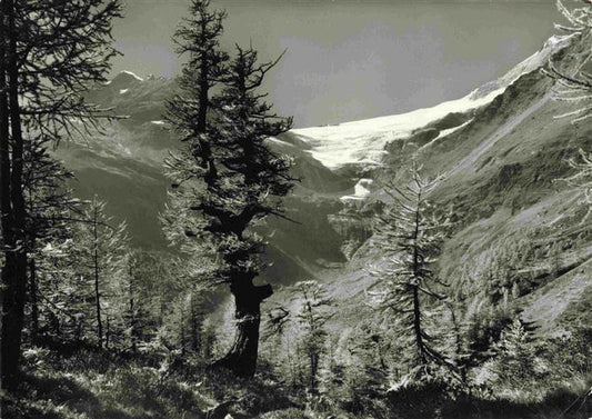 13993498 Alp_Gruem_GR avec vue sur le glacier Piz Vérone Palue et le Piz Palue