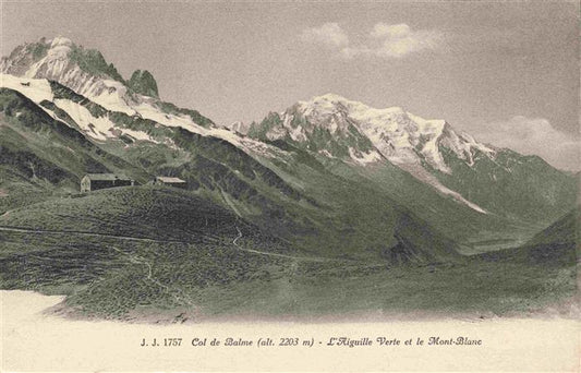 13963043 Col_de_Balme_2204m_VS Aiguille Verte et Mont Blanc