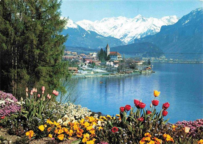 13963986 Brienz_Brienzersee_BE Panorama Blick ueber den See Hasliberge Berner Al