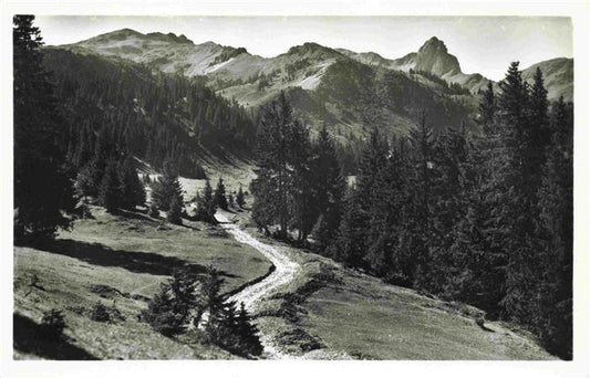 13965477 Seeben_1630m_Seebenalp_Sarganserland_SG Am Weg Flumserberg nach Seeben