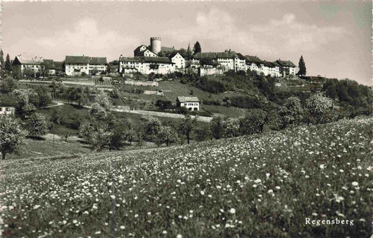 13965494 Regensberg_Dielsdorf_ZH Panorama Blumenwiese