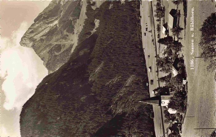 13965496 Saanen_BE Panorama Blick gegen Rueblihorn Berner Alpen