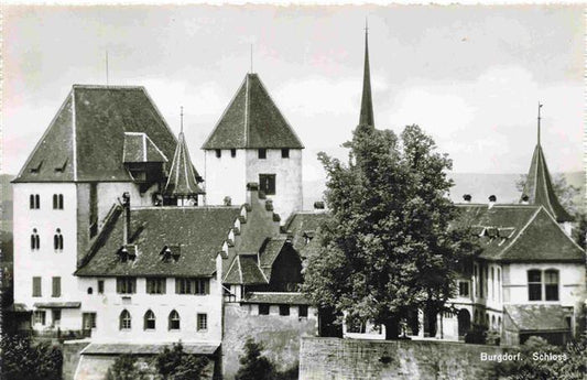 13965735 Burgdorf_BE Château