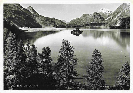 13965851 Silsersee Vue panoramique sur le lac