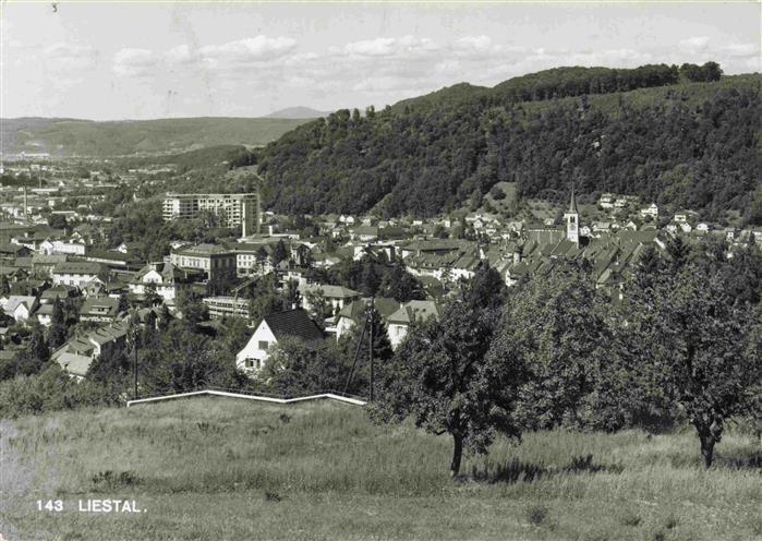 13966022 Liestal_BL Panorama