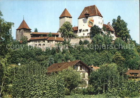 12564588 Burgdorf Bern Schloss