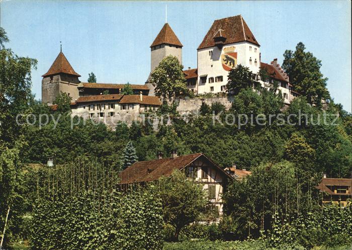 12571550 Burgdorf Bern Schloss