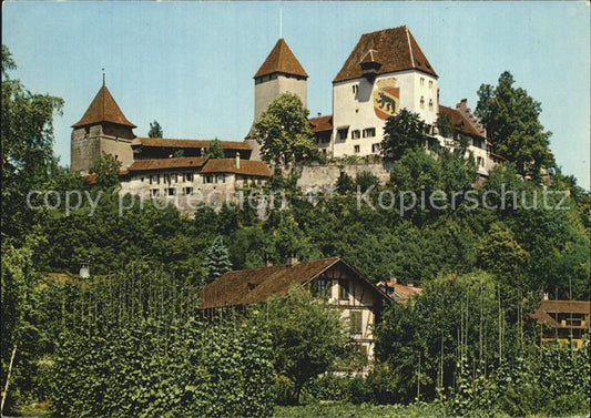 12603631 Burgdorf Bern Schloss