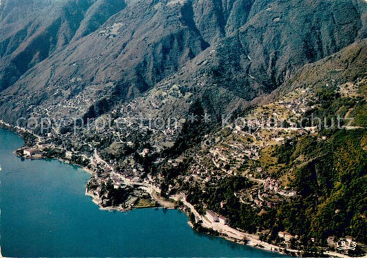 13751894 Brissago Lago Maggiore Fliegeraufnahme