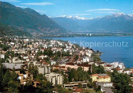 13753226 Muralto Lago Maggiore Fliegeraufnahme