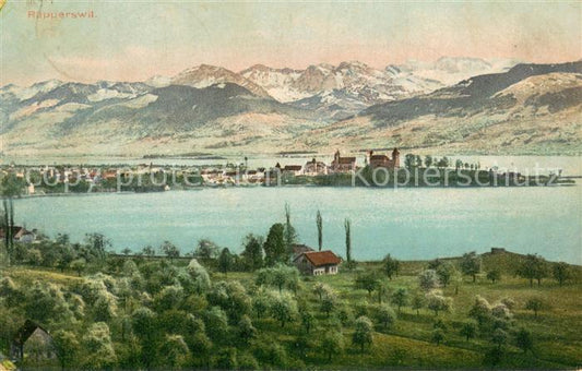 13755908 Rapperswil Zuerichsee BE Panorama