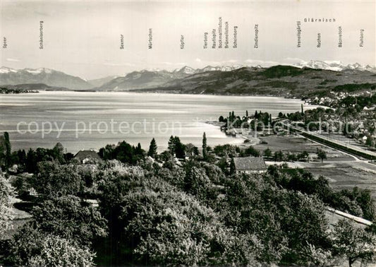 13755997 Zuerichsee ZH Landgasthof Blick von der Terrasse