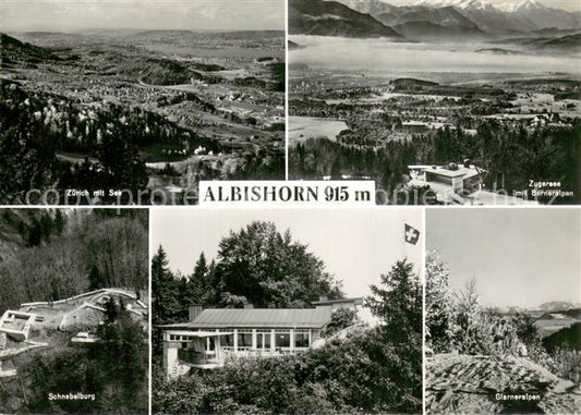 13756198 Albishorn 915m ZH Zuerich mit See Zugersee mit Berneralpen Schnabelburg