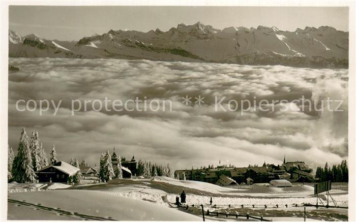 13814592 Rigi Kaltbad Vue sur les Alpes Rigi Kaltbad