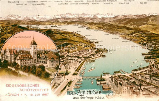 13757494 Zuerichsee ZH Carte panoramique Musée national suisse Zuerichsee ZH