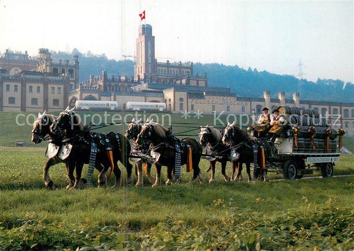 13757674 Rheinfelden AG Brauerei Feldschloesschen mit Sechsspaenner