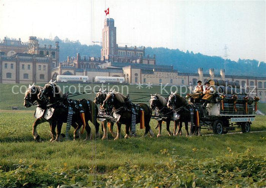 13757674 Rheinfelden AG Brauerei Feldschloesschen mit Sechsspaenner