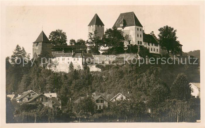 13758005 Burgdorf BE Schloss