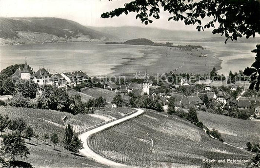 13758645 Erlach Bielersee BE Fliegeraufnahme mit St Peterinsel