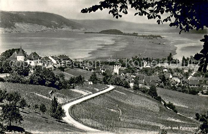 13758646 Erlach Bielersee BE Fliegeraufnahme mit St Peterinsel