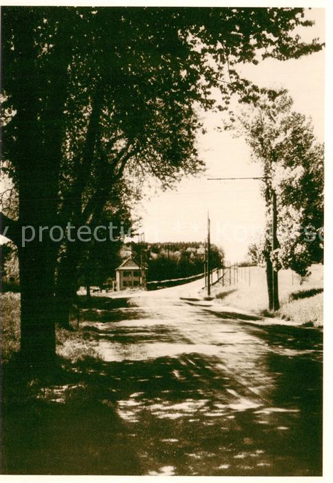 13759221 Aarau AG Distelberg-Romantik m. Suhrentalbahn Entfelderstrasseum 1910