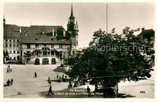 13764121 Fribourg FR Hotel de Ville et le Tilleul de Morat