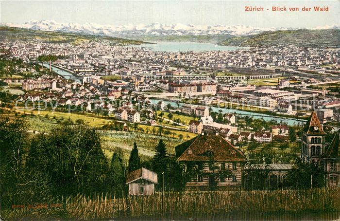 13781814 Zuerich ZH Panorama Blick von der Waid Zuerichsee Alpen