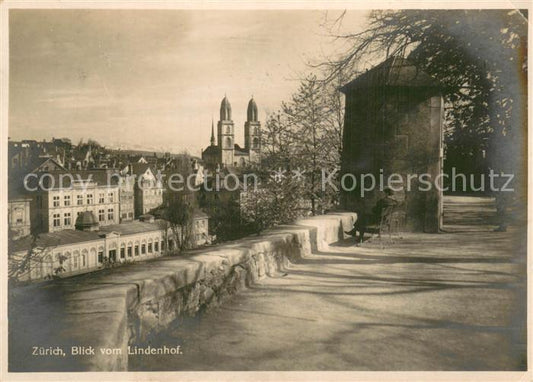 13782353 Zuerich ZH Blick vom Lindenhof Grossmuenster