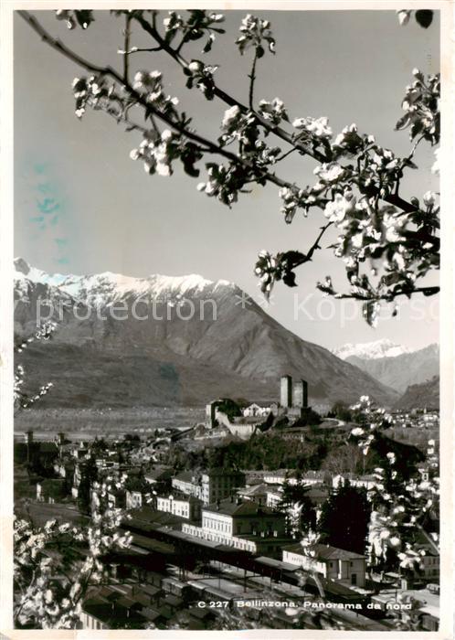 13792818 Bellinzona Panorama da nord