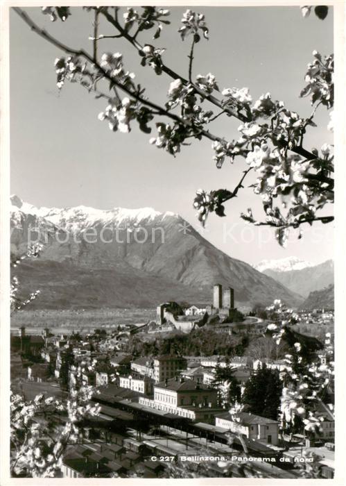 13792819 Bellinzona Panorama da nord