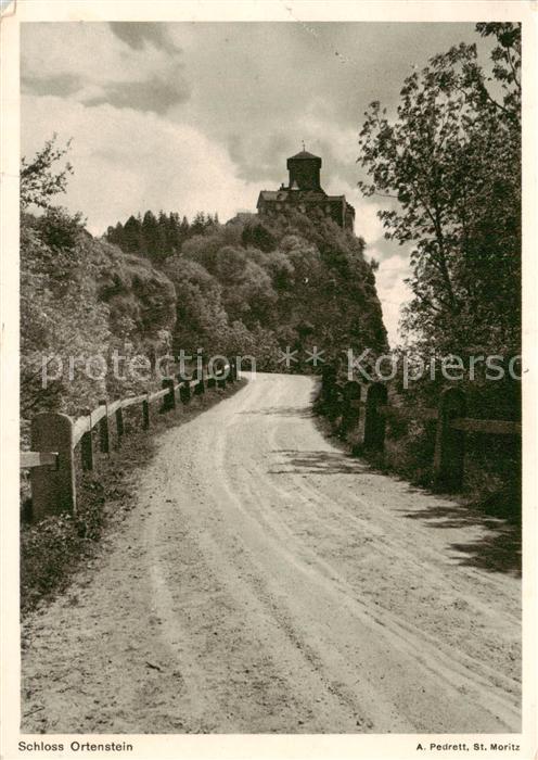 13795329 Ortenstein Schloss Thusis GR Schlossblick