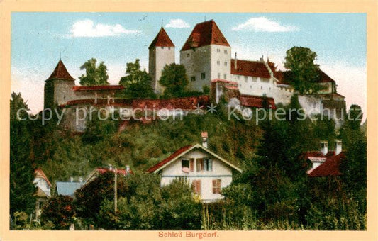 13795578 ​​Château de Burgdorf BE