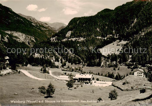 13801059 Weinberg Vinadi Panorama an der Strasse ins Samnauntal