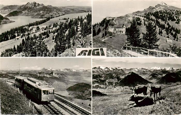 13795889 Rigi Kulm Berghotel Panorama Rigi-Bahn Bétail alpin Panorama alpin Rigi Kulm