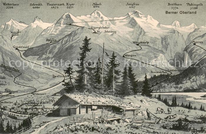 13796308 Interlaken BE Berghuette Alm Vue sur les Alpes bernoises Carte d'artiste In