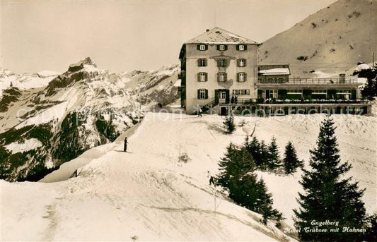 13796327 Engelberg OW Hôtel Truebsee avec terrain de sports d'hiver de Hahnen Alpes