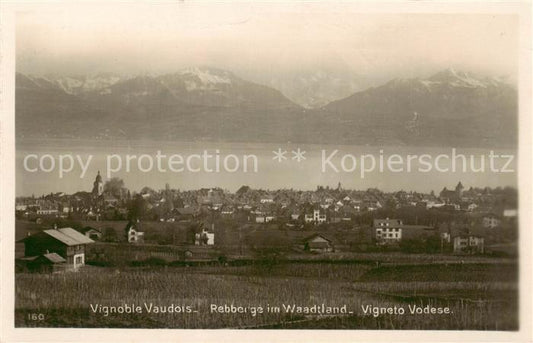 13796336 Vevey VD Vignoble Vaudois Vignobles à Vaud Lac Léman Alpes Vevey