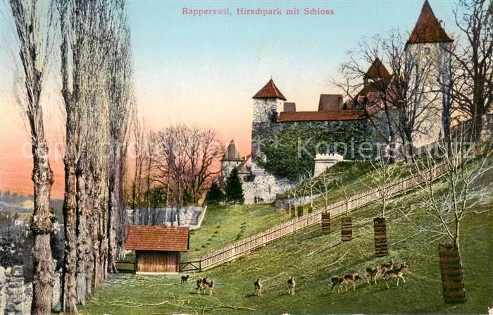 13796876 Rapperswil -Jona Rapperswyl Zuerichsee SG Parc aux cerfs avec château