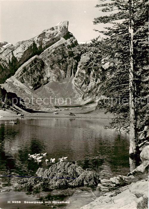 13797186 Seealpsee Saentis IR Lac de montagne avec Alpes Appenzeller Rossmad