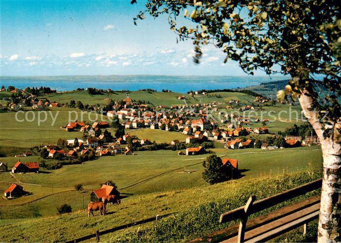 13797201 Speicher AR Vue panoramique sur le lac de Constance Speicher AR