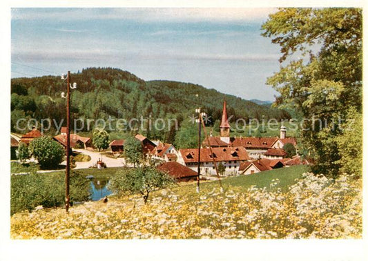 13797552 Magdenau Botsberg Flawil SG Abbaye cistercienne prairie fleurie