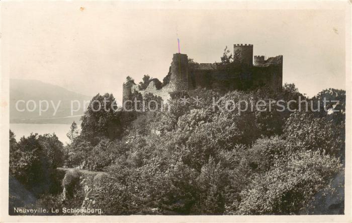 13795935 Neuveville La Bielersee Preles BE Le Schlossberg