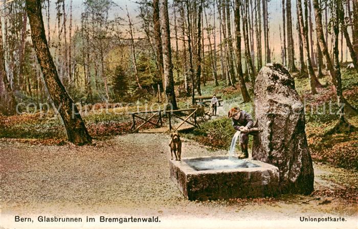 13798523 Bern BE Fontaine en verre dans le Bremgartenwald Bern BE